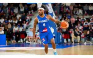 photo Equipe de france de basket: France Vs Finlande