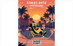 photo Stage skate multipark