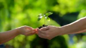 photo Bourse d'échanges de plantes