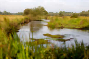 photo Découverte des Barthes de l'Adour