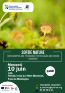 photo Sortie Nature :  Découverte des richesses des zones humides
