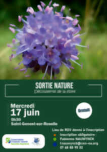 photo Sortie nature, Découverte de la flore
