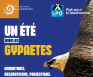 photo UNE JOURNÉE AVEC LES GYPAÈTES 