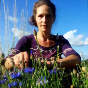 photo SORTIE NATURE - HISTOIRES DE PLANTES