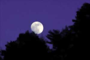 photo UN ÉTÉ AVEC LE PARC : PLEINE LUNE SUR LE MONT LOZÈRE