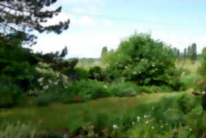 photo Découverte du jardin fleuri de Marie Ange Rumeau