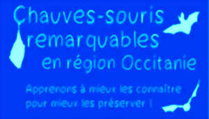 photo SORTIE NOCTURE LPO 66 PAYS CATALAN 