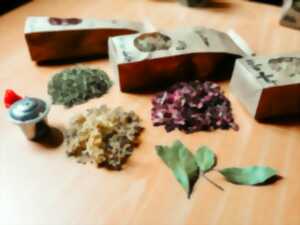 photo Atelier-nature (6-12 ans) : l'univers des plantes