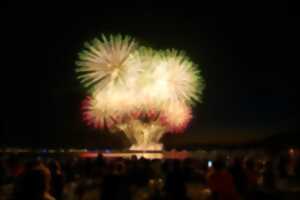 photo FEU D'ARTIFICE