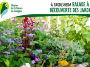 photo Balade à la découverte des jardins