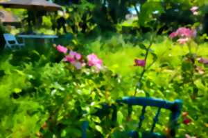 photo Café Rosa, le café associatif éphémère de l'association Vayres à Soi