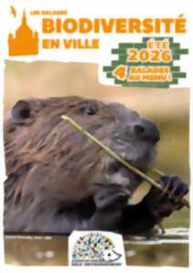 photo Balade biodiversité en ville - La murmurée