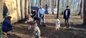 photo Été Actif : cani-rando