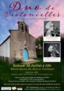 photo Duo de violoncelles