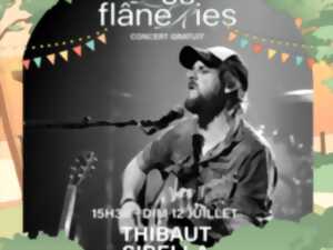 photo Les Flâneries - Thibaut Sibella - Folk