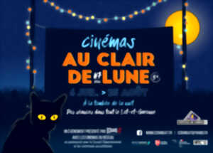 photo Cinéma plein air