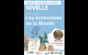 photo Sortie Natura 2000 CPIE : Les écrevisses de la Nivelle