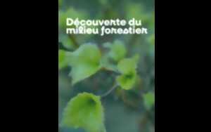 photo Découverte du milieu forestier