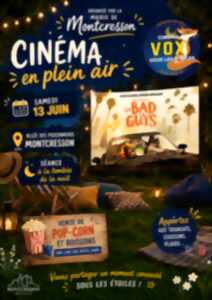 photo Cinéma en plein air