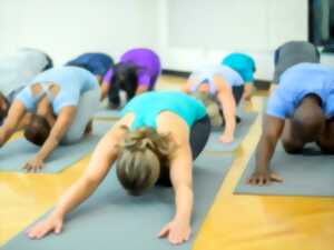 photo Yoga au centre d'art