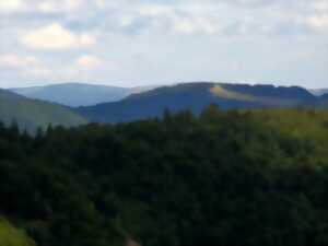 photo Sortie : Histoire des paysages du Ballon d'Alsace