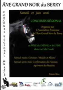 photo Concours régional Ane Grand Noir du Berry