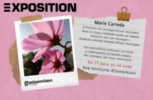 photo Médiathèque Le Dôme : Exposition Marie Carreda