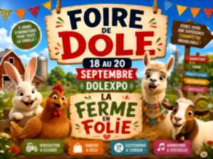 photo Foire de Dole
