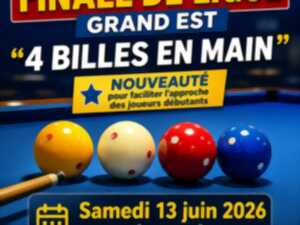 photo Finale de la Ligue, région Grand Est - Billard