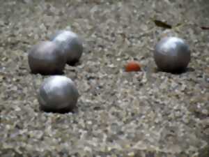 photo Concours de boules spéciale fête des pères