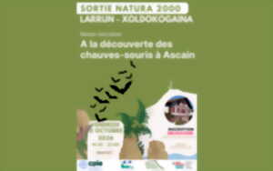 photo Balade naturaliste : à la découverte des chauve-souris
