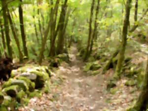 photo Rallye Nature