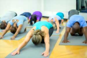 photo Yoga duo