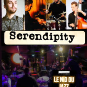 photo Serendipity 2.0
