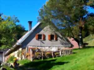 photo Balade sur les traces des malkers
