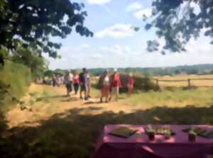 photo Marche gourmande à La Ferrière-en-Parthenay