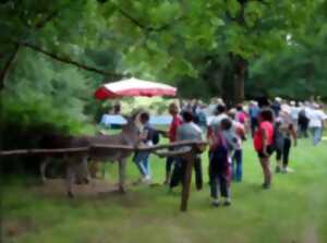 photo Marche gourmande à Pougne-Hérisson