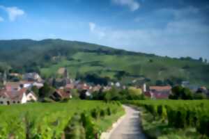 photo Visite du Vignoble et Dégustation de Vins - Cave de Ribeauvillé
