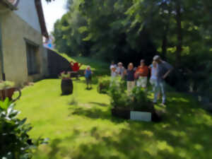 photo Visite des jardins et des rues fleuries d'Hirtzbach