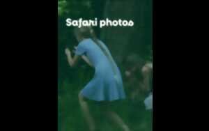 photo Safari photo