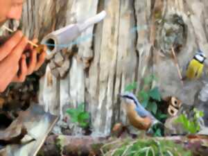 photo Atelier - La voix de l'oiseau