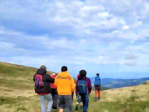 photo Sortie sur les crêtes vosgiennes