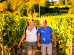 photo Vignes, Vins, Randos à Bourgueil !