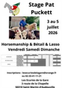 photo Stage équitation western
