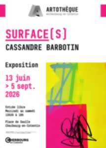 photo Exposition Surface(s) de Cassandre Barbotin