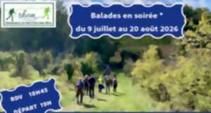 photo Balade en soirée à Roquebrune