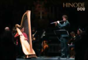 photo Un dimanche au Cloître - Musique Classique - Duo Hinode