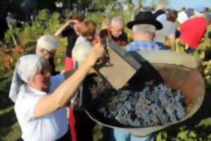 photo Déambulation et vendanges de la Cité Libre du vieux Thouars