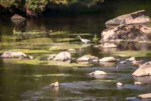 photo Balade nature 