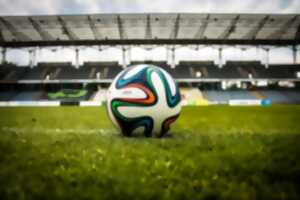 photo Diffusion du match France-Sénégal